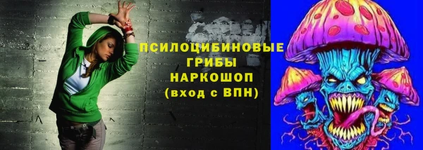 мдпв Мегион