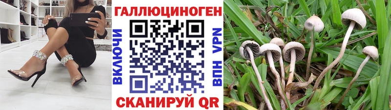 Псилоцибиновые грибы GOLDEN TEACHER  Купить  Тара 